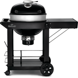 BBQ  Gril au charbon de bois