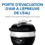 BBQ  Gril au charbon de bois