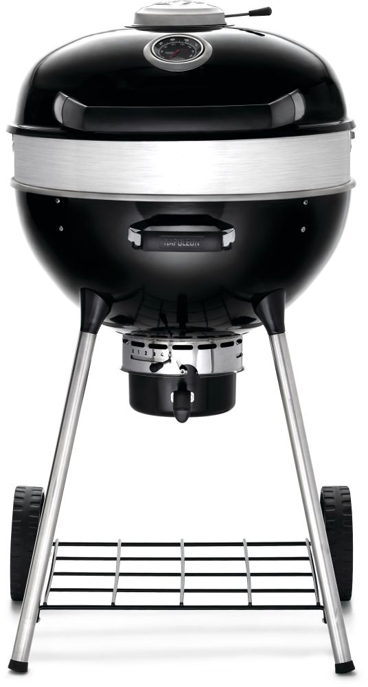 BBQ  Gril au charbon de bois