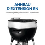 BBQ  Gril au charbon de bois