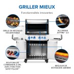BBQ  Prestige® 500 RSIB