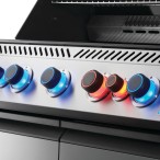 BBQ  Prestige® 665 RSIB