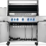 BBQ  Prestige® 665 RSIB