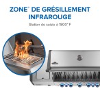 BBQ  Prestige® 665 RSIB