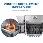 BBQ Rogue® PRO-S 425 RSIB