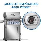 BBQ Rogue® PRO-S 425 RSIB