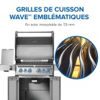 BBQ Rogue® PRO-S 525 RSIB