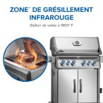BBQ Rogue® PRO-S 525 RSIB
