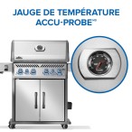 BBQ Rogue® PRO-S 525 RSIB