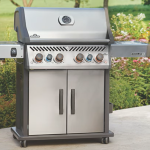 BBQ Rogue® PRO-S 625 RSIB