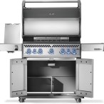 BBQ Rogue® PRO-S 625 RSIB