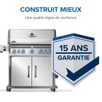 BBQ Rogue® PRO-S 625 RSIB