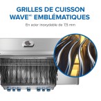 BBQ Rogue® PRO-S 625 RSIB