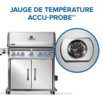BBQ Rogue® PRO-S 625 RSIB