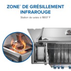 BBQ Rogue® PRO-S 625 RSIB