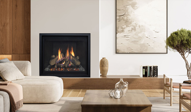 Foyer au gaz Enviro RZ41