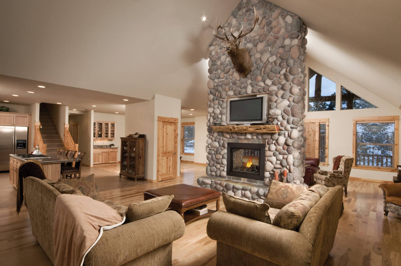 Foyer au gaz Napoleon Ascent Multi-View BHD4STGN