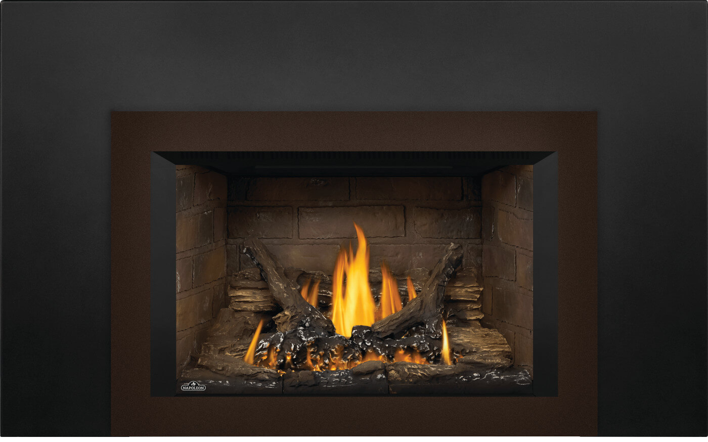 Encastrable au gaz Napoleon Oakville 3