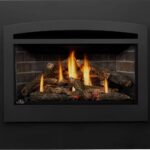 Encastrable au gaz Napoleon Rosedale 3