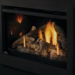 Encastrable au gaz Napoleon Rosedale 3