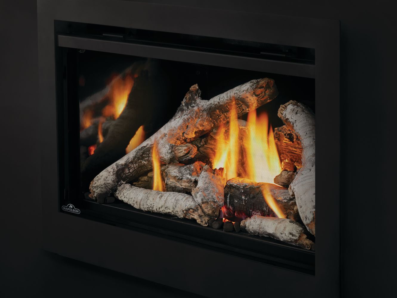 Encastrable au gaz Napoleon Rosedale 3