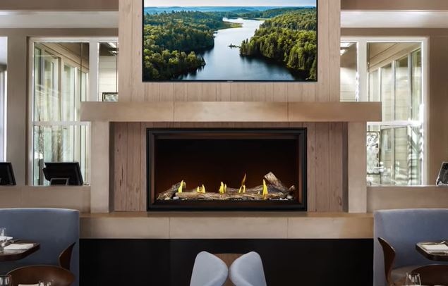 Foyer au gaz Napoleon Tall Linear Vector 50