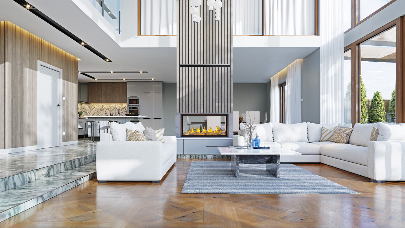 Foyer au gaz Napoleon Tall Linear Vector 50 See Through