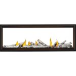 Foyer au gaz Napoleon Tall Linear Vector 74 See Through
