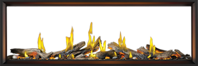 Foyer au gaz Napoleon Tall Linear Vector 74 See Through with Luminous Logs