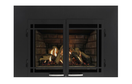 Foyer au gaz inserts Regency 27-DVIE22N