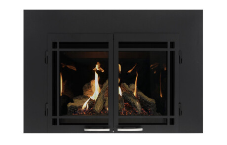 Foyer au gaz inserts Regency 27-DVIE22N