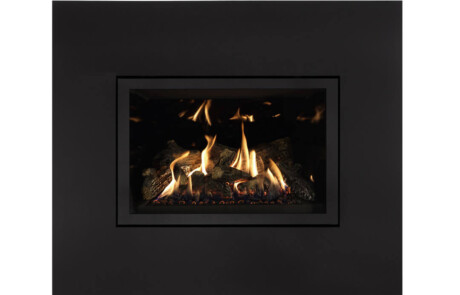 Foyer au gaz inserts Regency 31-DVIE33LN-3