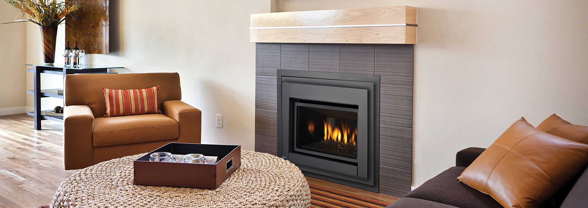 Foyer au gaz inserts Regency E18E