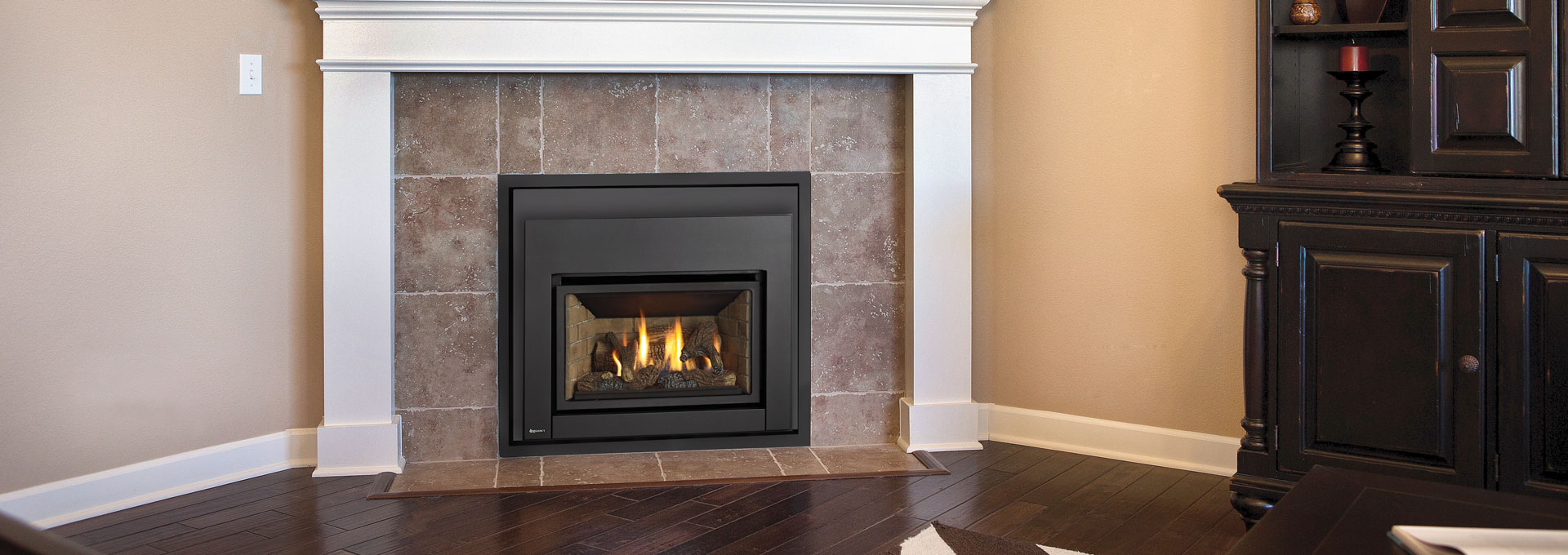 Foyer au gaz inserts Regency E18E
