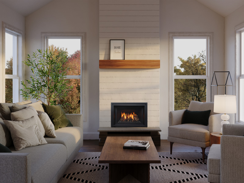 Foyer au gaz inserts Regency Gi25LE