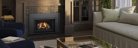 Foyer au gaz inserts Regency Gi25LE