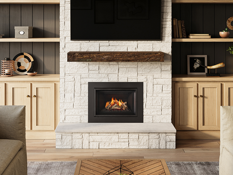 Foyer au gaz inserts Regency Gi27LE