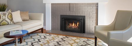 Foyer au gaz inserts Regency LRI4E