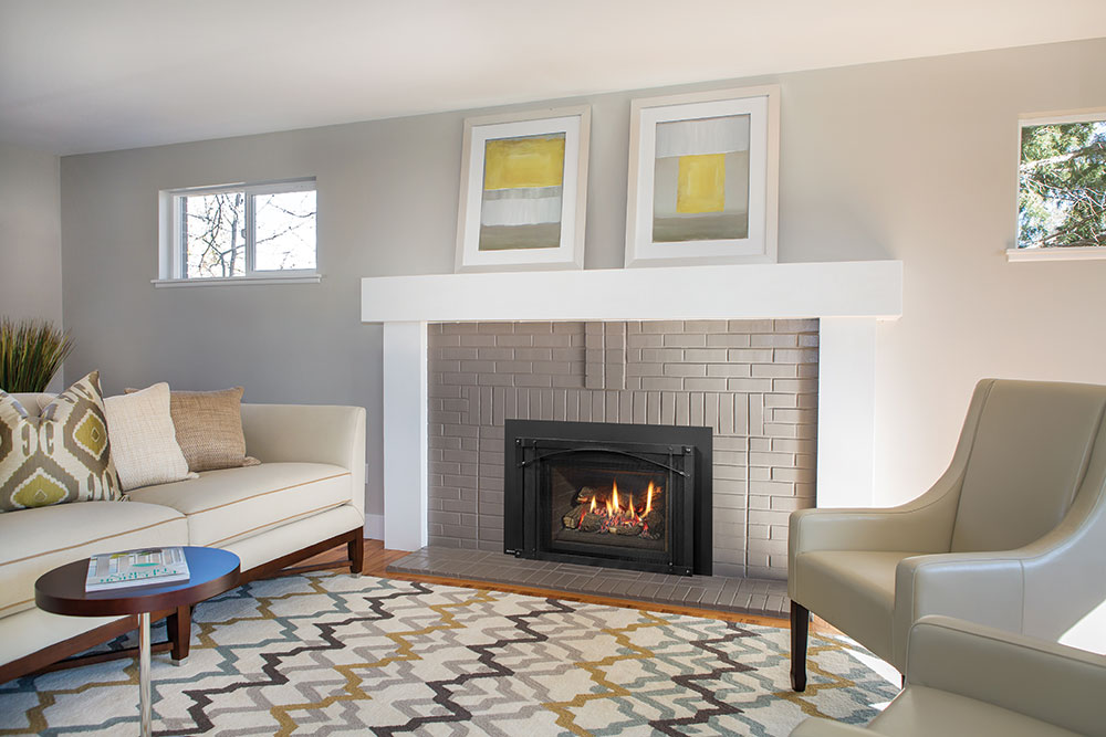 Foyer au gaz inserts Regency LRI4E