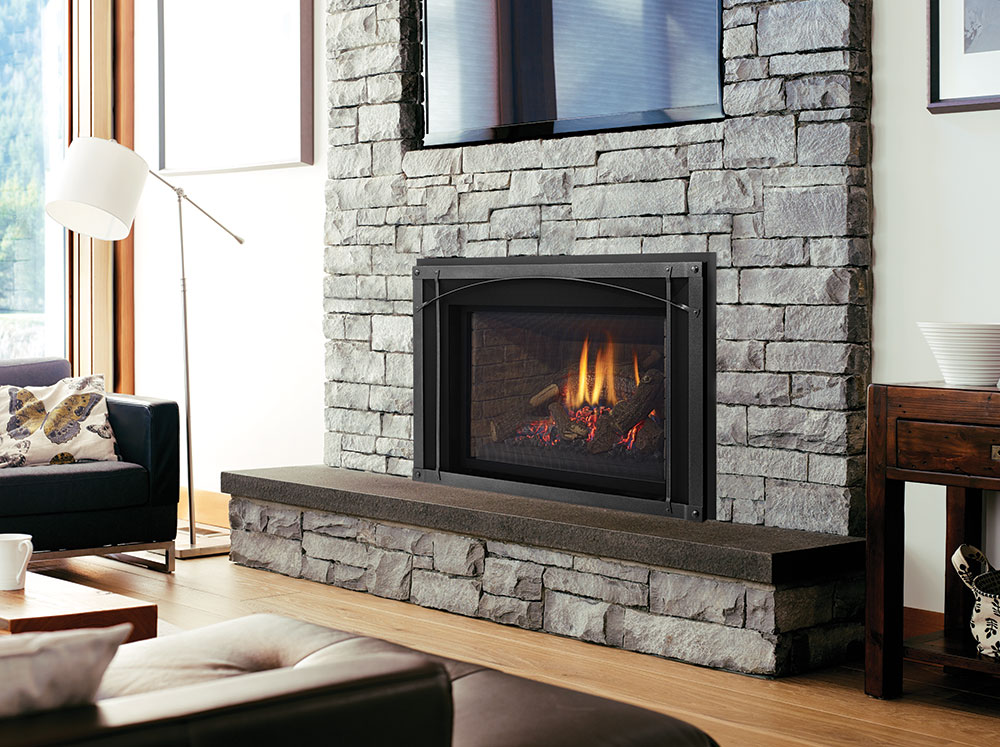 Foyer au gaz inserts Regency LRI6E