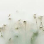 danielle suijkerbuijk wqvxdb17edc unsplash