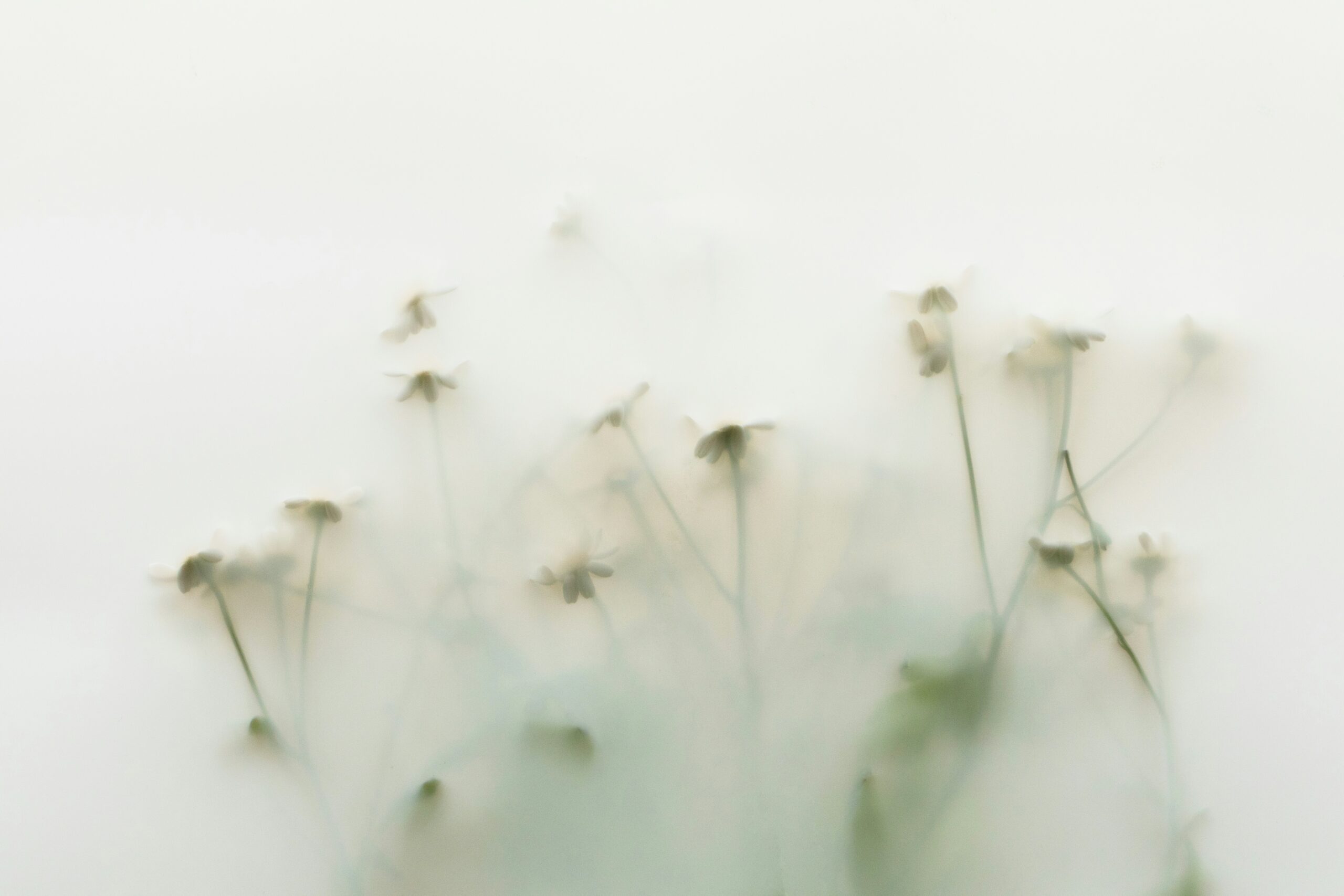 danielle suijkerbuijk wqvxdb17edc unsplash